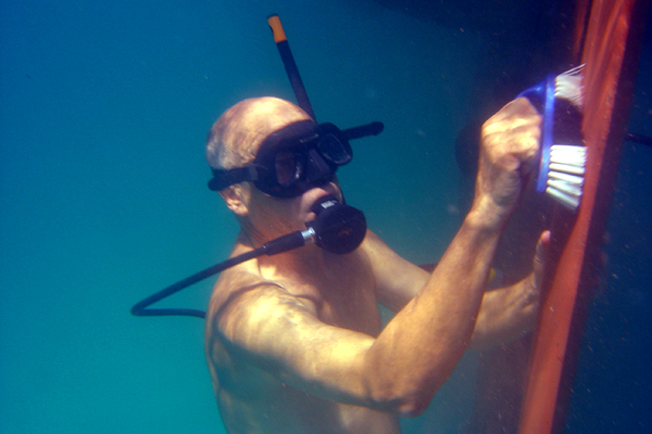alua-333.jpg